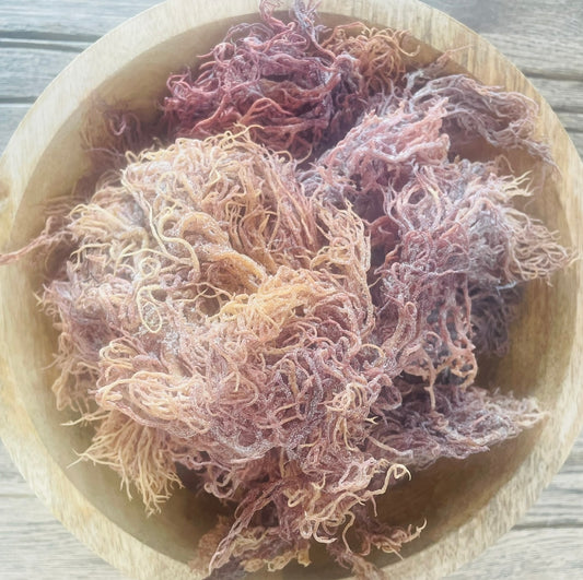 Why our St. Lucian Premium Seamoss is Renowned for the Best Quality