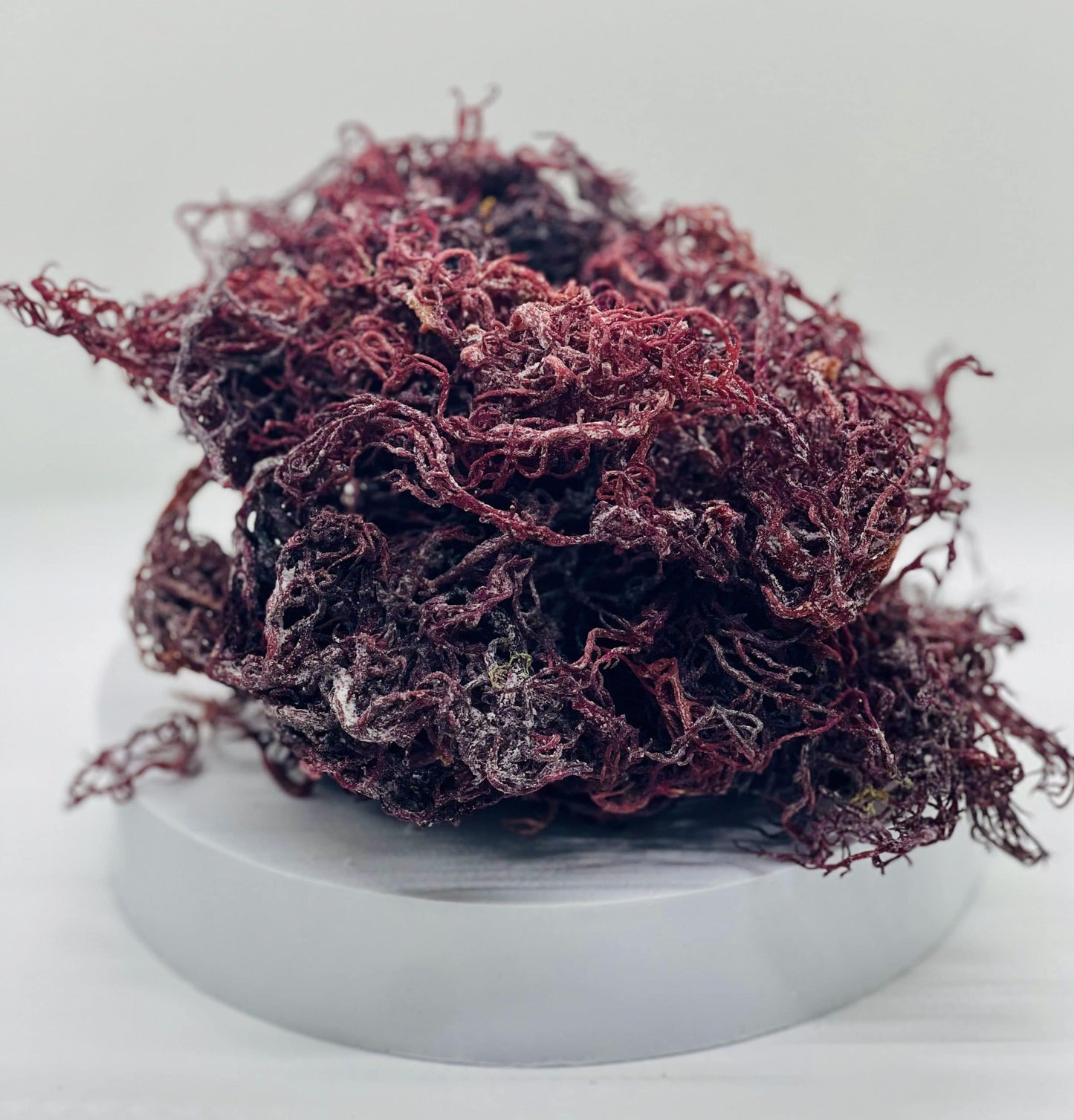 Raw Premium Purple - St Lucian Seamoss
