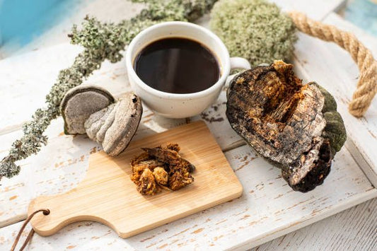 Why You Should Drink Chaga Tea Before Bed: A Natural Nightcap for Wellness