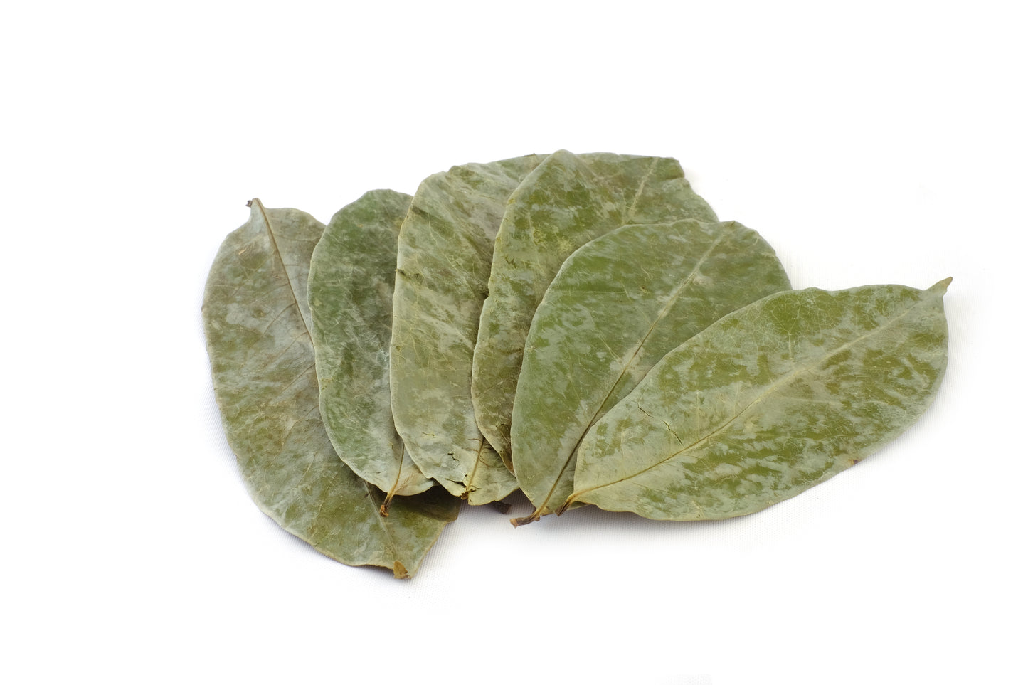 Soursop Tea Leaves - St Lucian (Bulk)