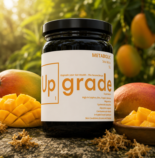 Metabolism - Mango Infused Seamoss Gel