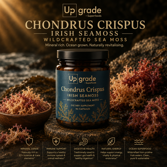 Chondrus Crispus - Ierse zeemos