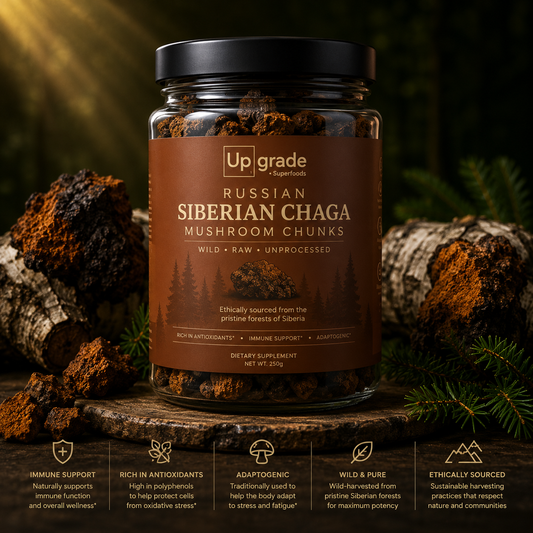 Premium Siberian Chaga Chunks - Mushroom