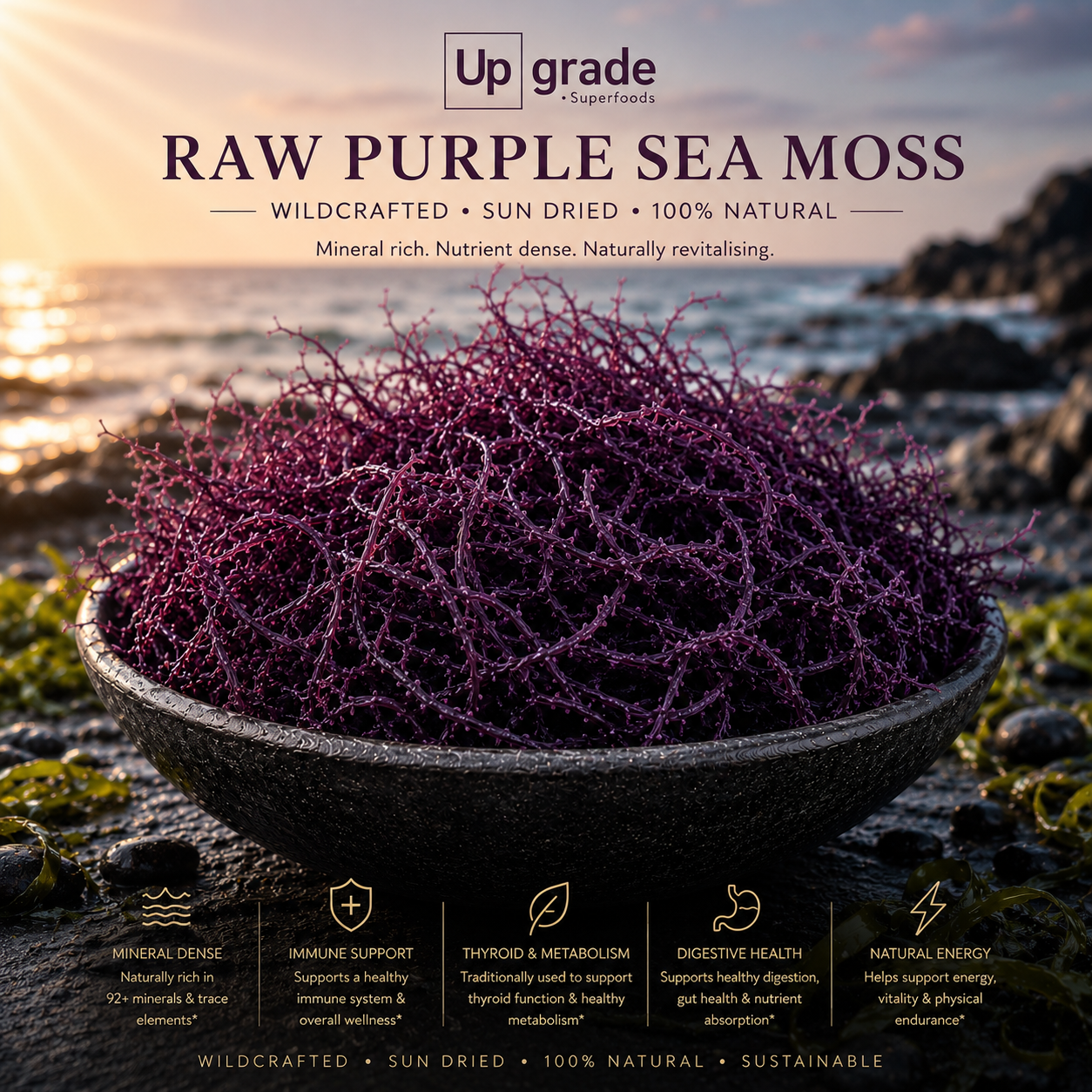 Raw Premium Purple - St Lucian Seamoss (Bulk)