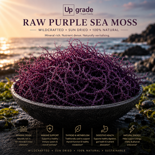 Mousse de mer de Sainte-Lucie violette brute de qualité supérieure (en vrac)