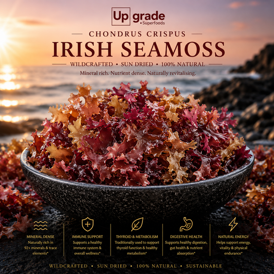 Chondrus Crispus - Mousse de mer irlandaise (en vrac)