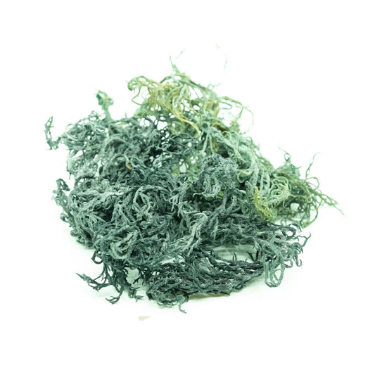 Mousse de mer de Sainte-Lucie verte de qualité supérieure brute