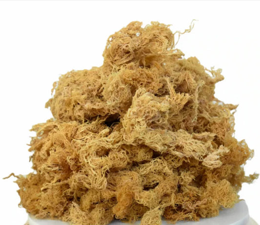 Raw Premium (Grade A) Golden - St Lucian Seamoss (Bulk) OPTION 1